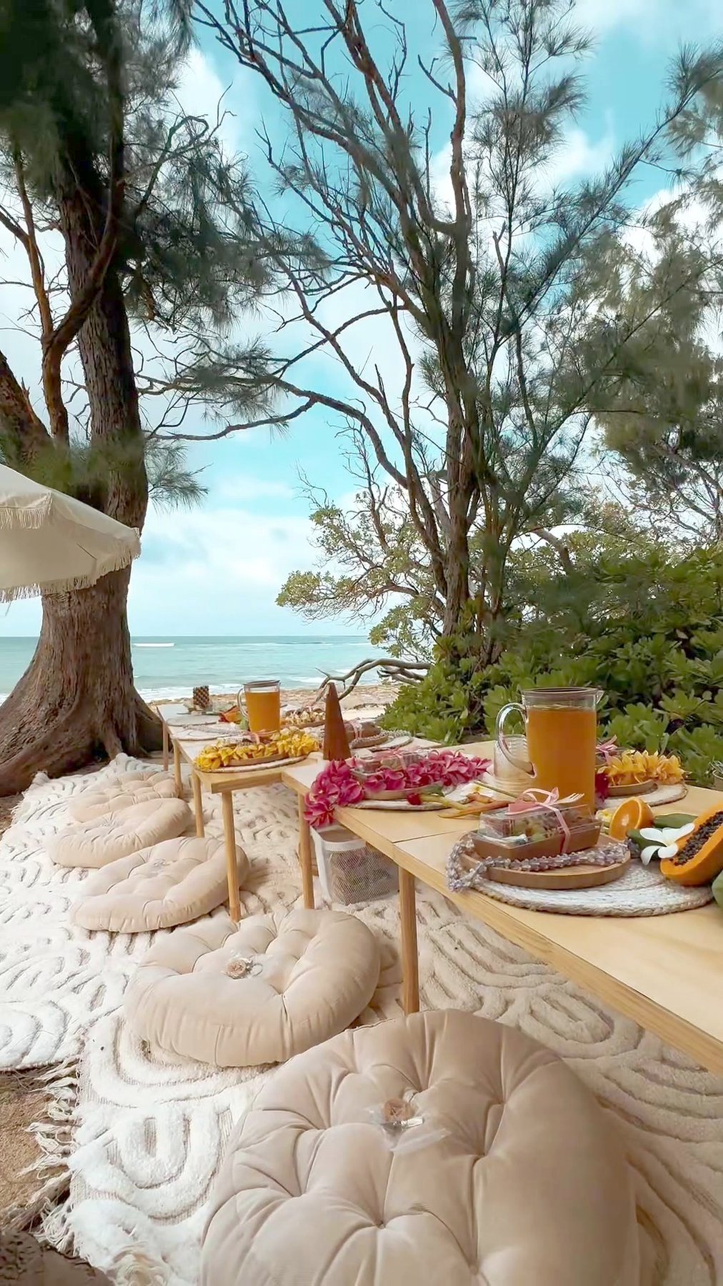 Low wooden picnic tables under ironwood trees steps from the ocean