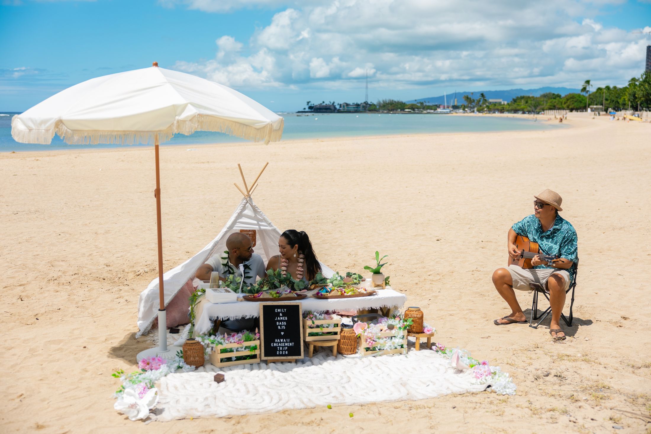 Live guitarist playing for the couple at their picnic